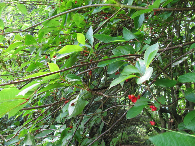 5713537746_0152371179_z