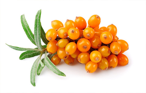 seabuckthorn-k